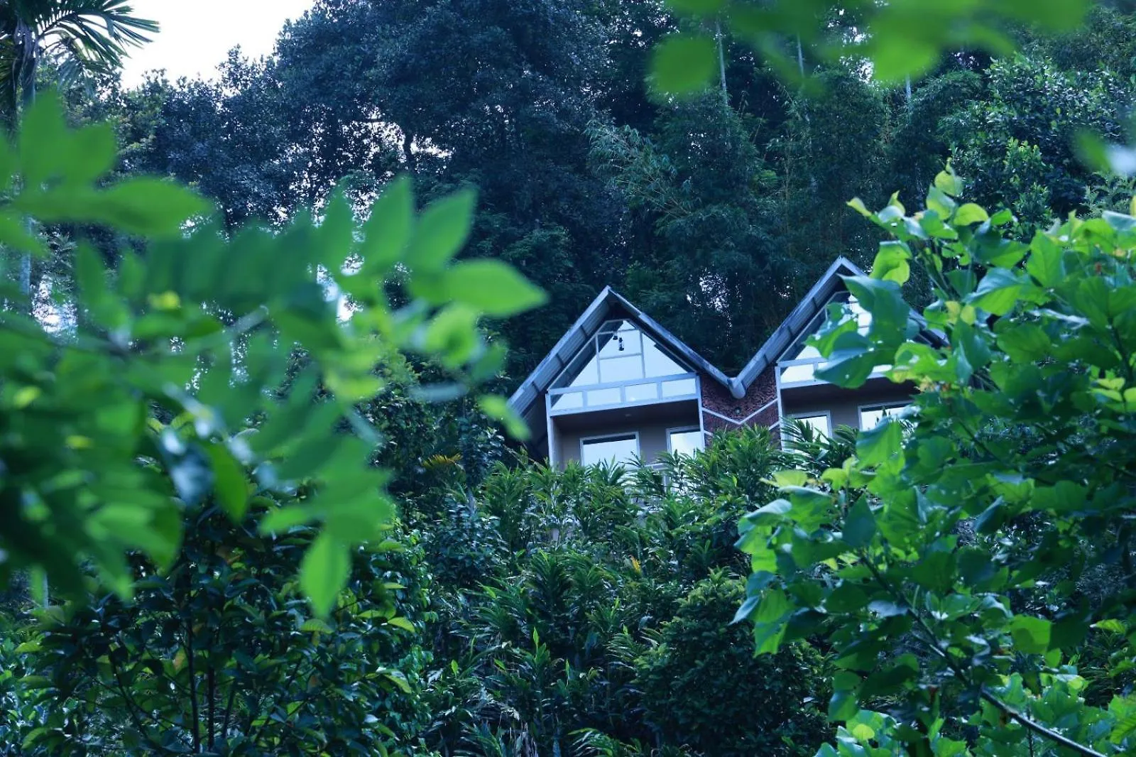 Nest In Mist Inn Munnar