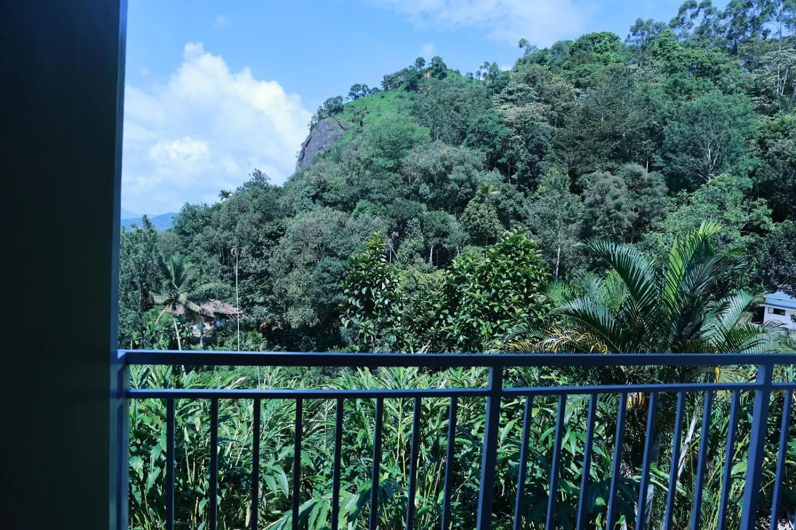 Nest In Mist Inn Munnar Ινδία