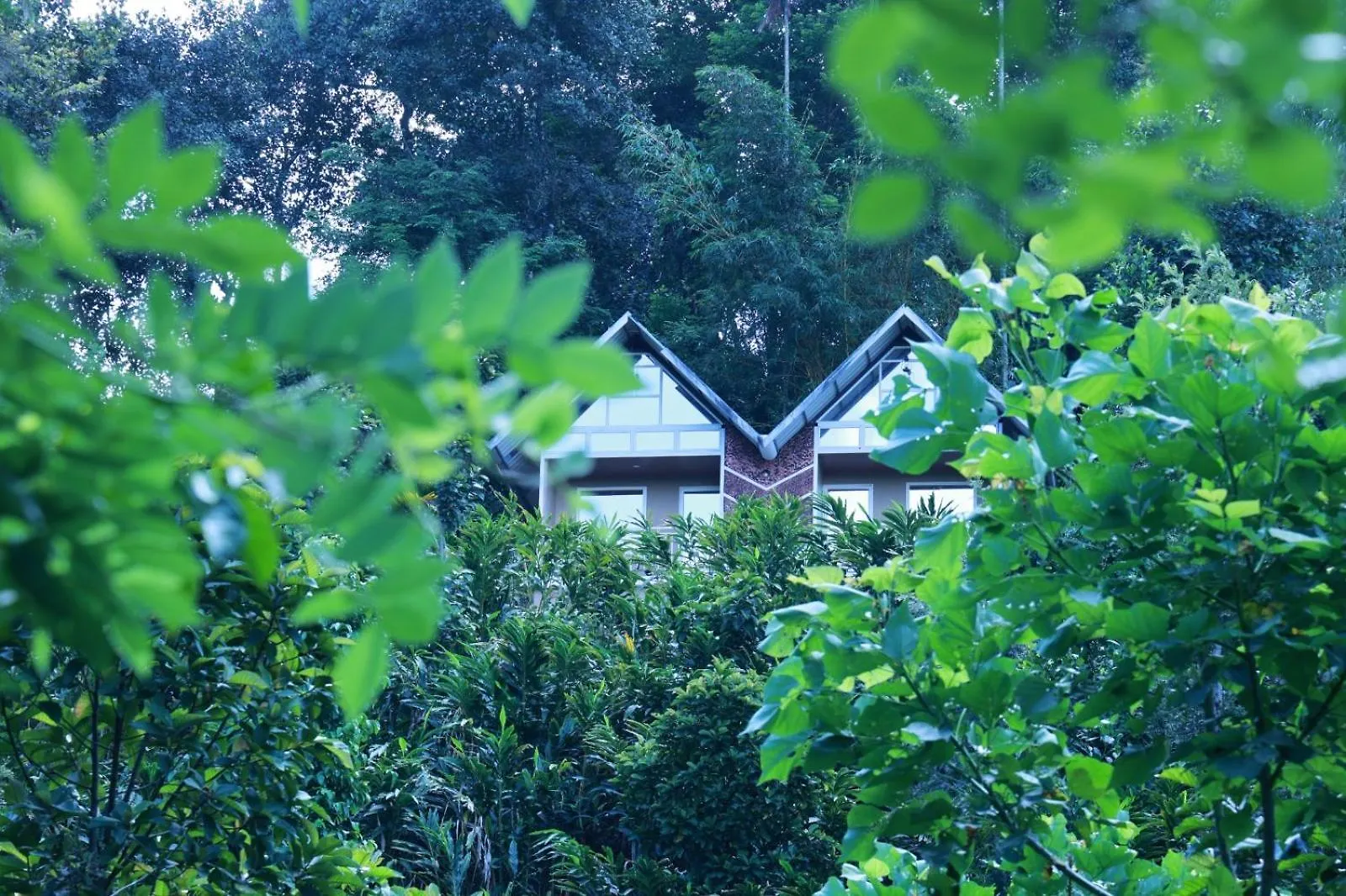 Δωμάτια σε οικογενειακή κατοικία Nest In Mist Inn Munnar